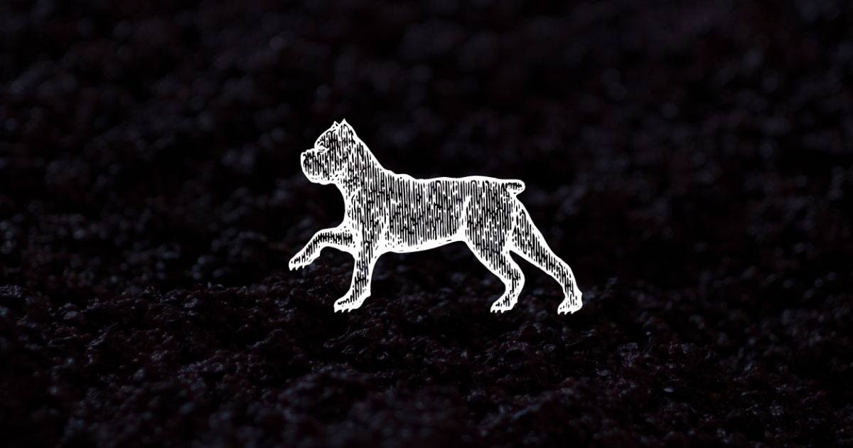 Share image for Gellis Family Domain